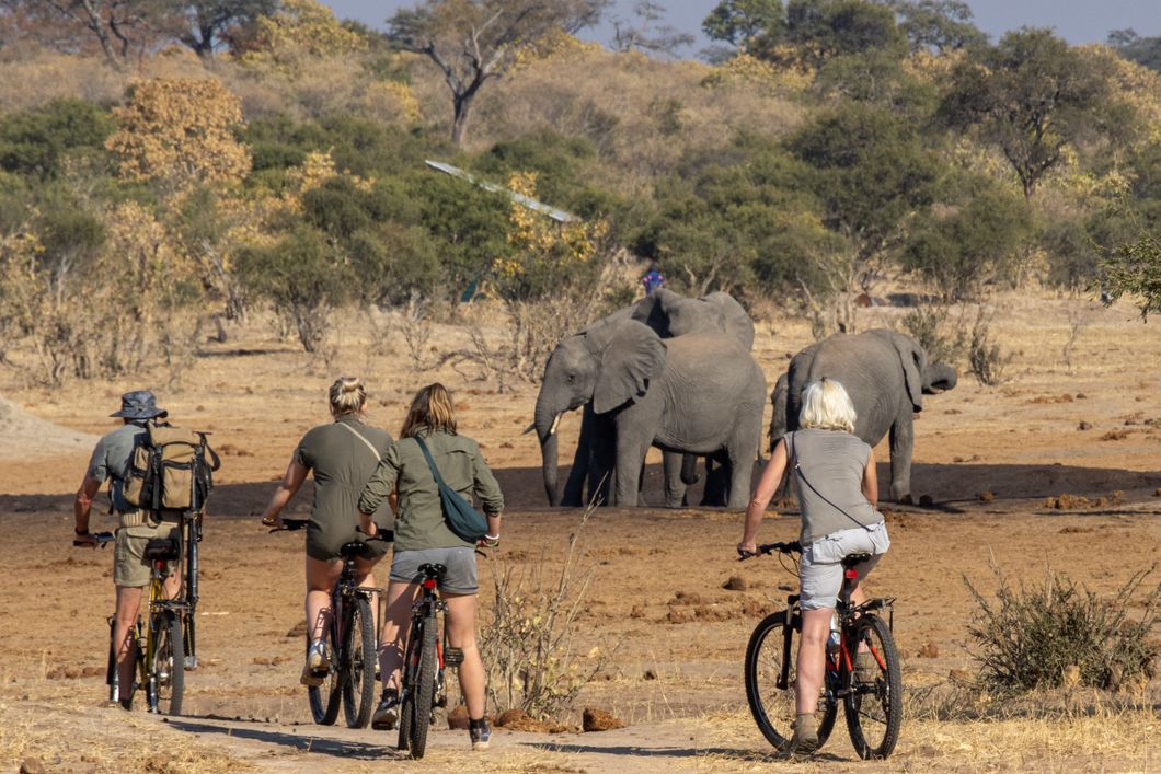 natucate-private-wilderness-experience-hwange-zimbabwe-bike-ride