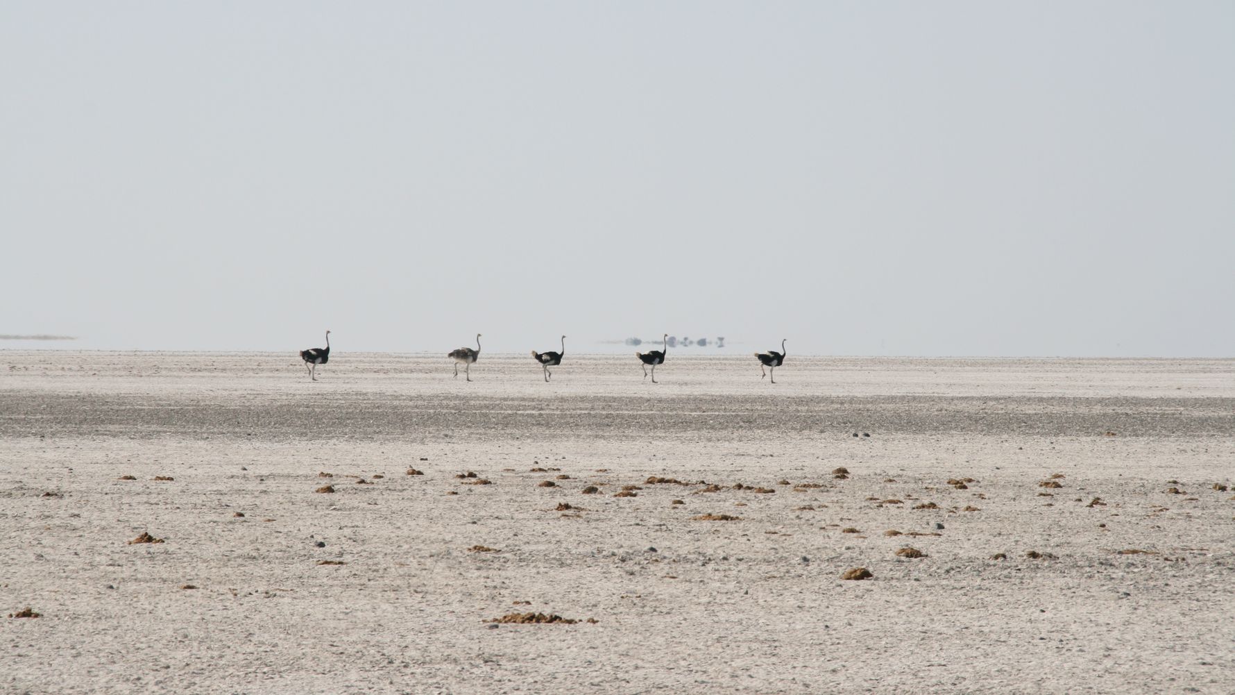 naturwissen-desertifikation-afrika