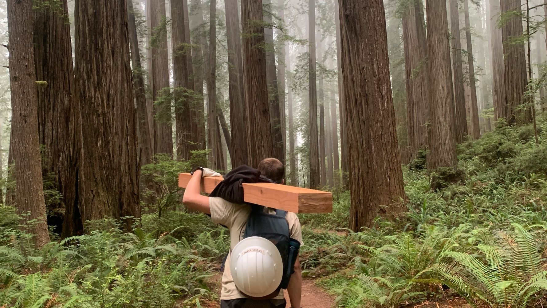 erfahrungsberichte-usa-kalifornien-naturschutz-sebastian-holzverarbeitung-natucate