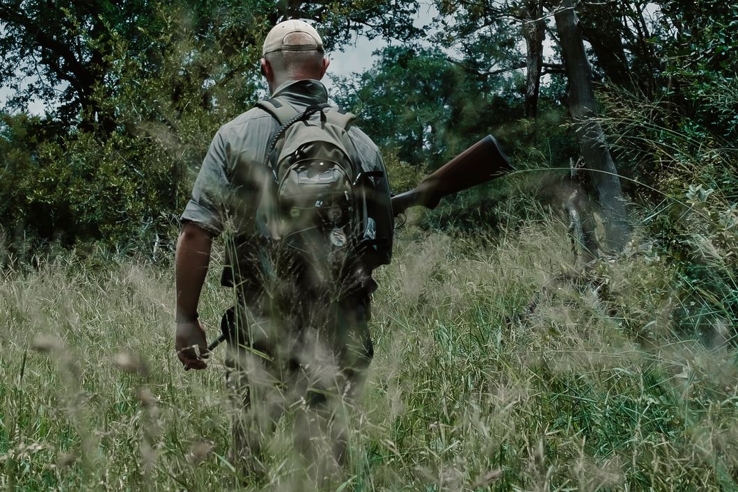 natucate-nature-travel-animal-tracking-expedition-trailing-bush