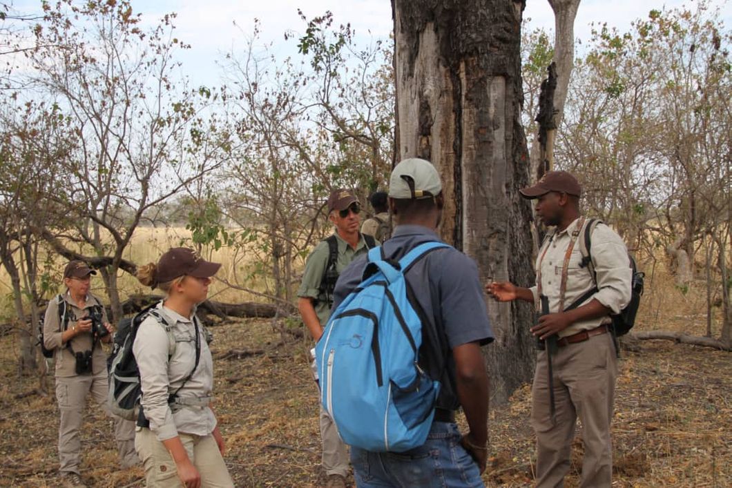 safari-botswana-expedition-okavango-delta-gaeste-pirschwanderung-natucate