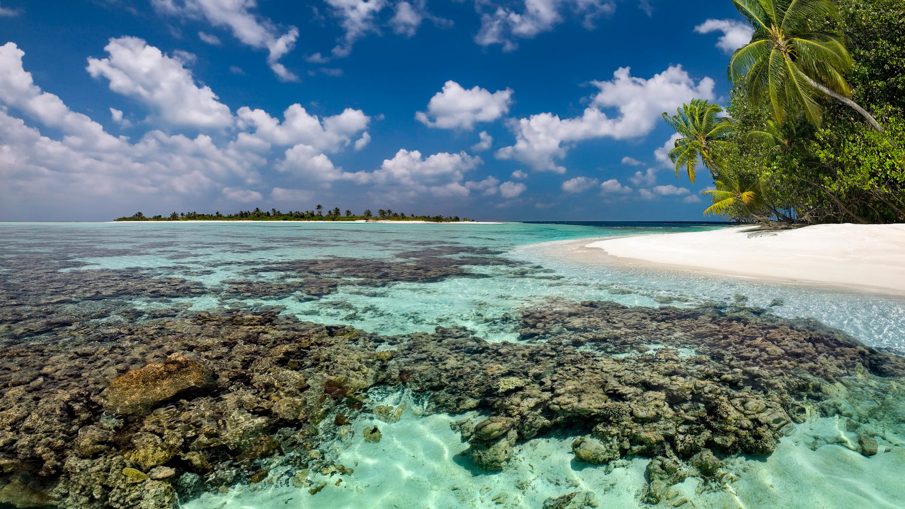 blog-wissen-malediven-marine-welt-paradis