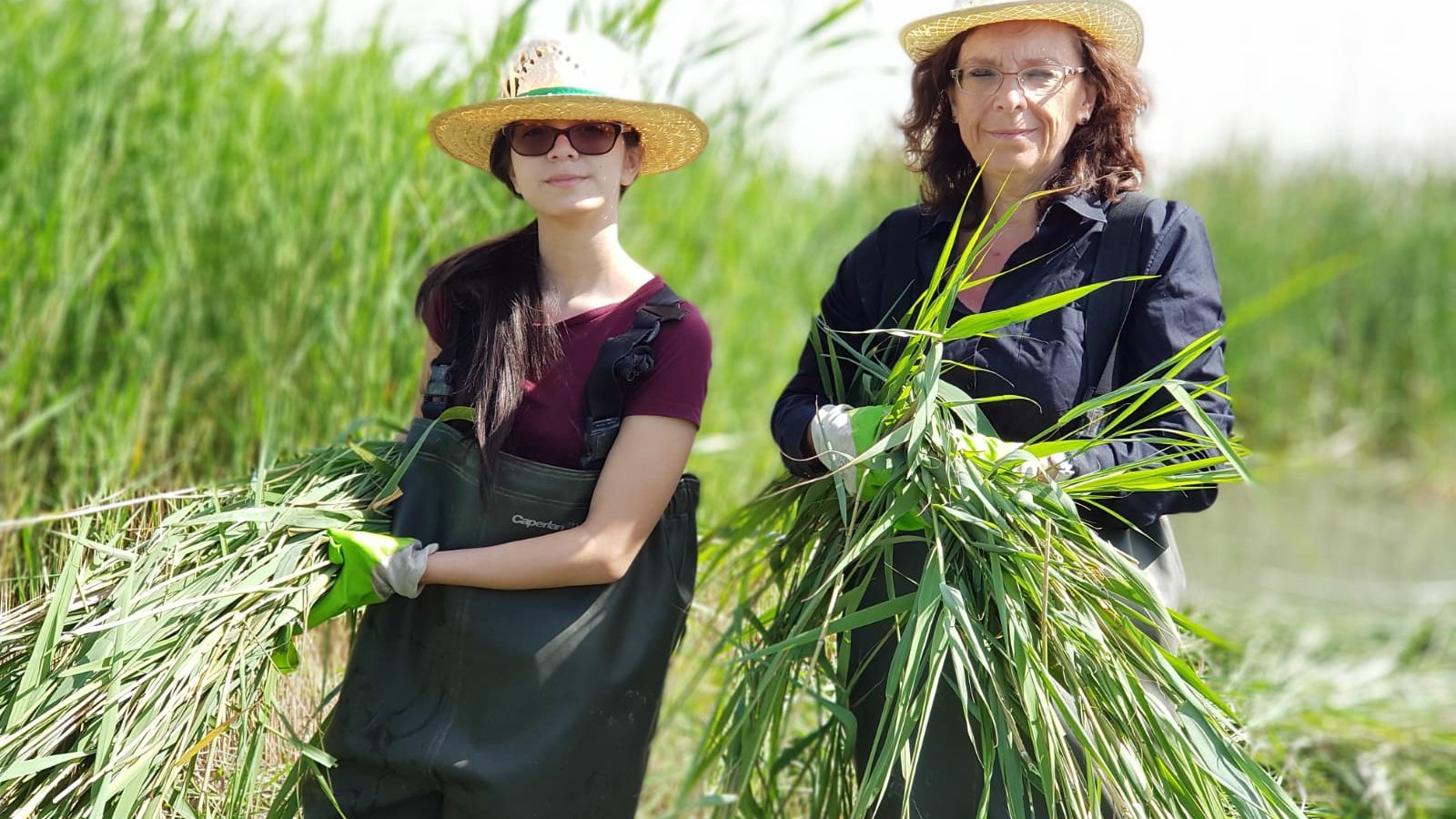 Naturschutz in Spanien: Freiwillige bei Vegetationsarbeiten in Valencia