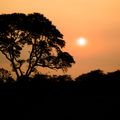 Landscape during sunset in Zambia
