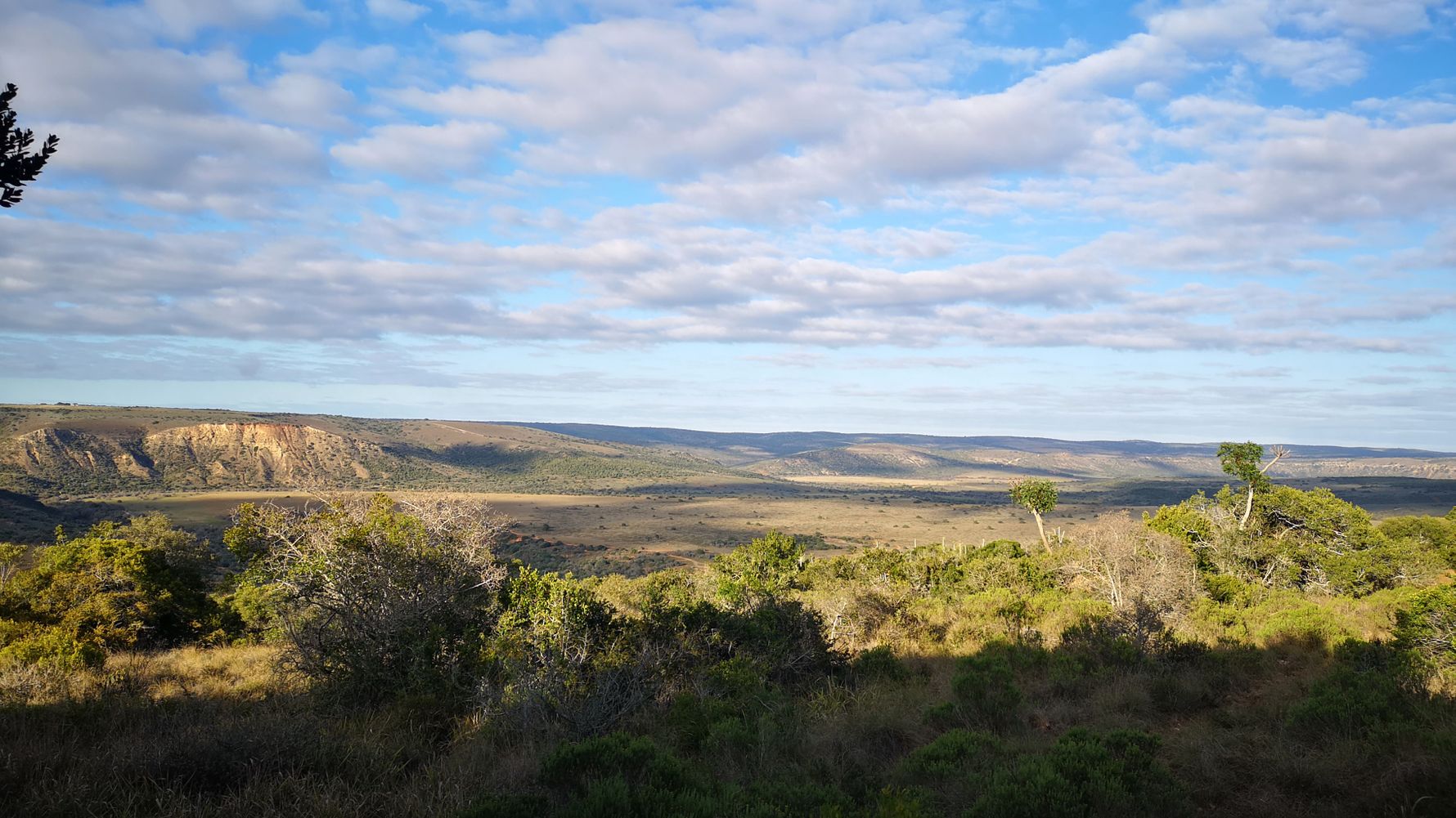 blog-ratgeber-suedafrika-ostkap-savanne-natucate