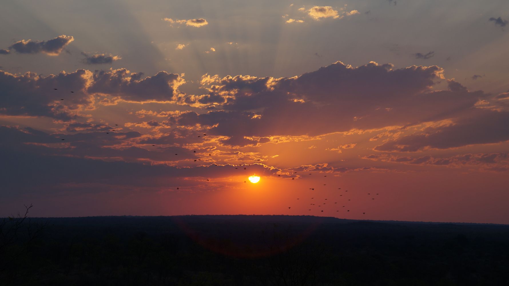 erfahrungsbericht-ecoquest-suedafrika-corinna-sonnenuntergang-natucate