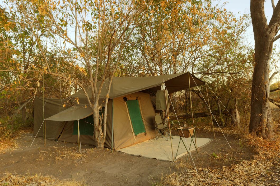 naturkurs-botswana-track-and-trail-camp-kwapa-natucate