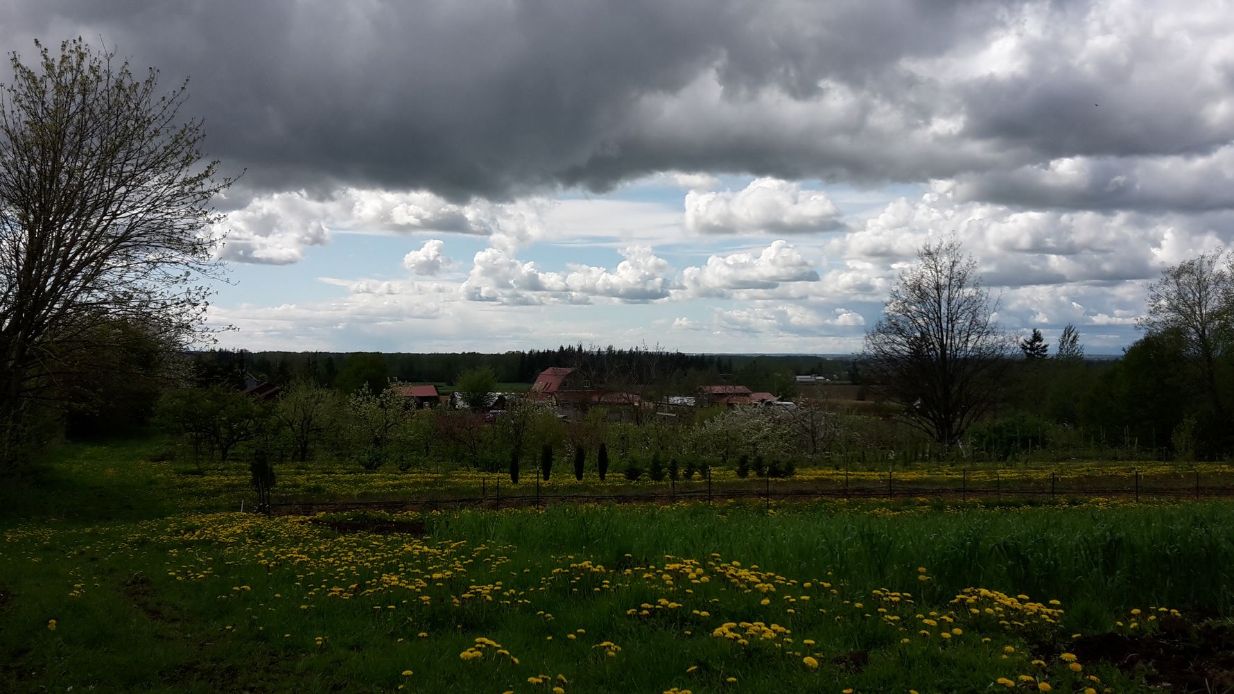 erfahrungsbericht-praktikum-usa-landwirtschaft-oekologischer-hof-ausblick-natucate