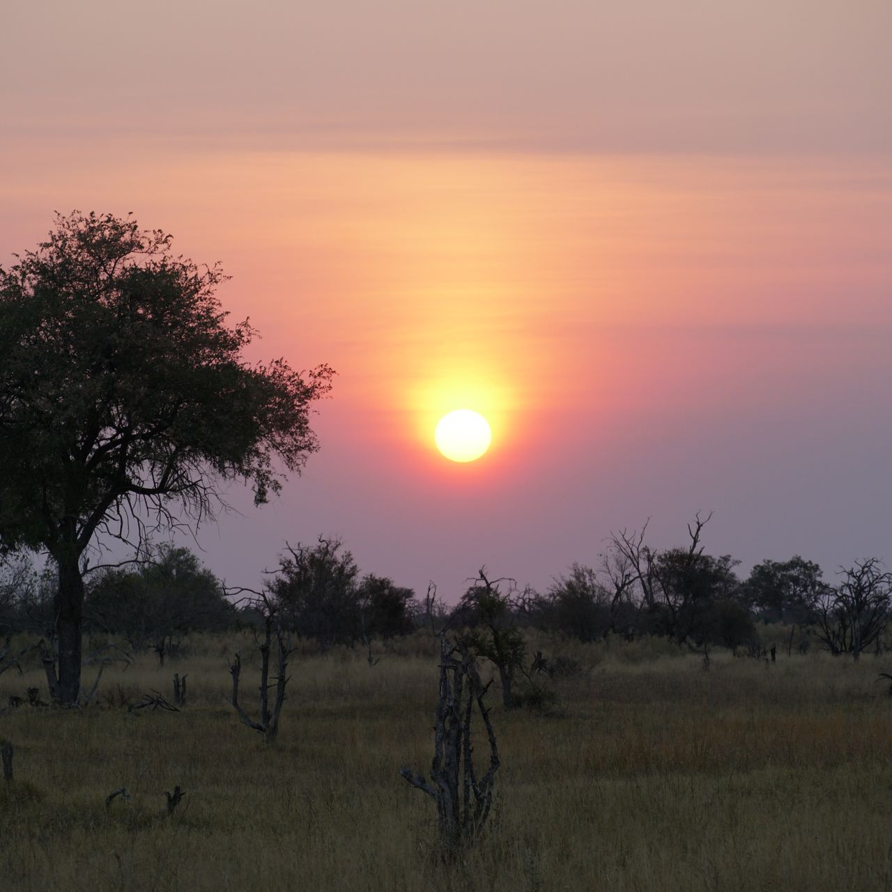 erfahrungsberichte-rangerkurse-botswana-field-guide-training-walter-sonnenuntergang-natucate