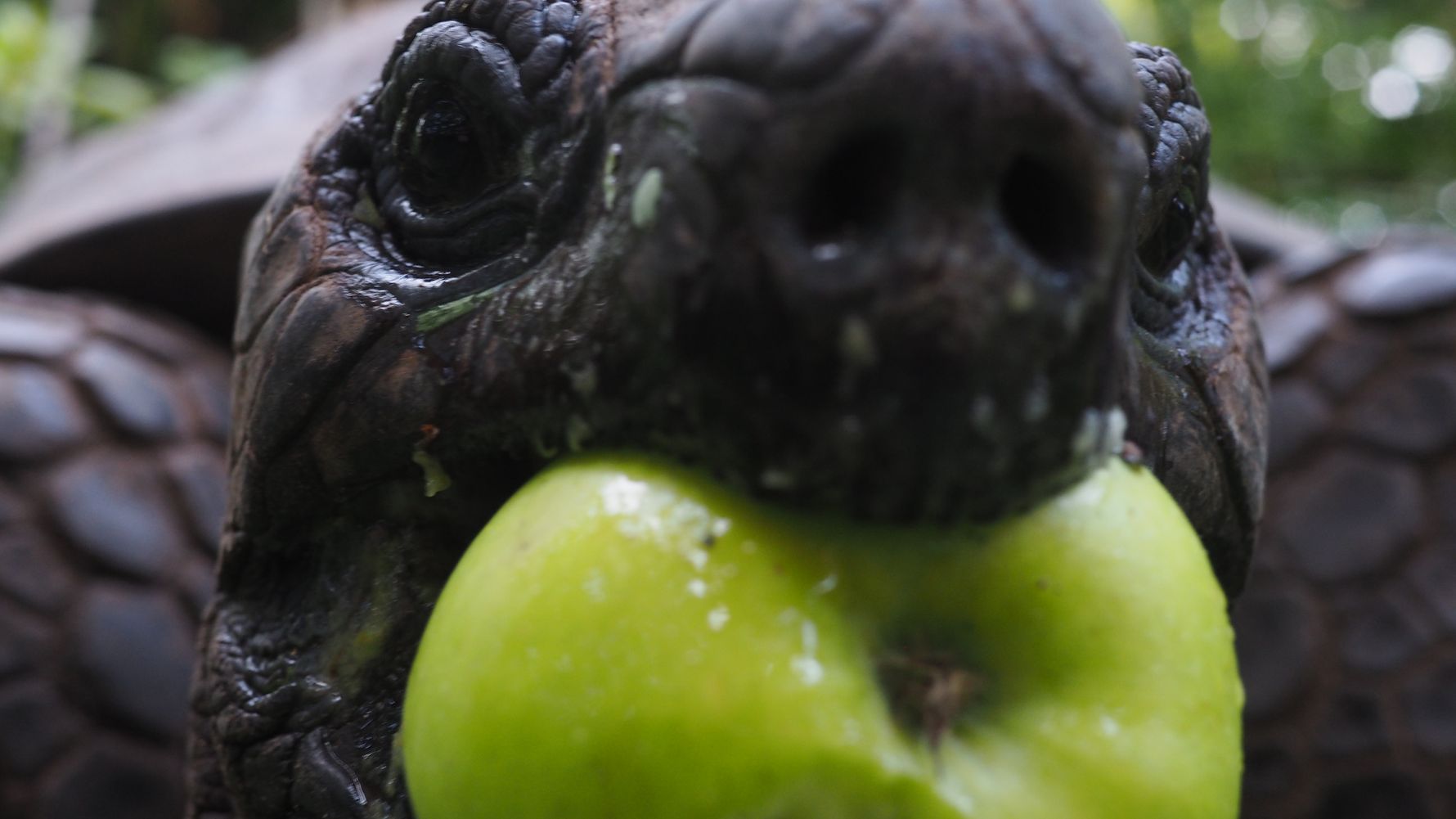 freiwilligenarbeit-seychellen-erfahrungsbericht-natucate