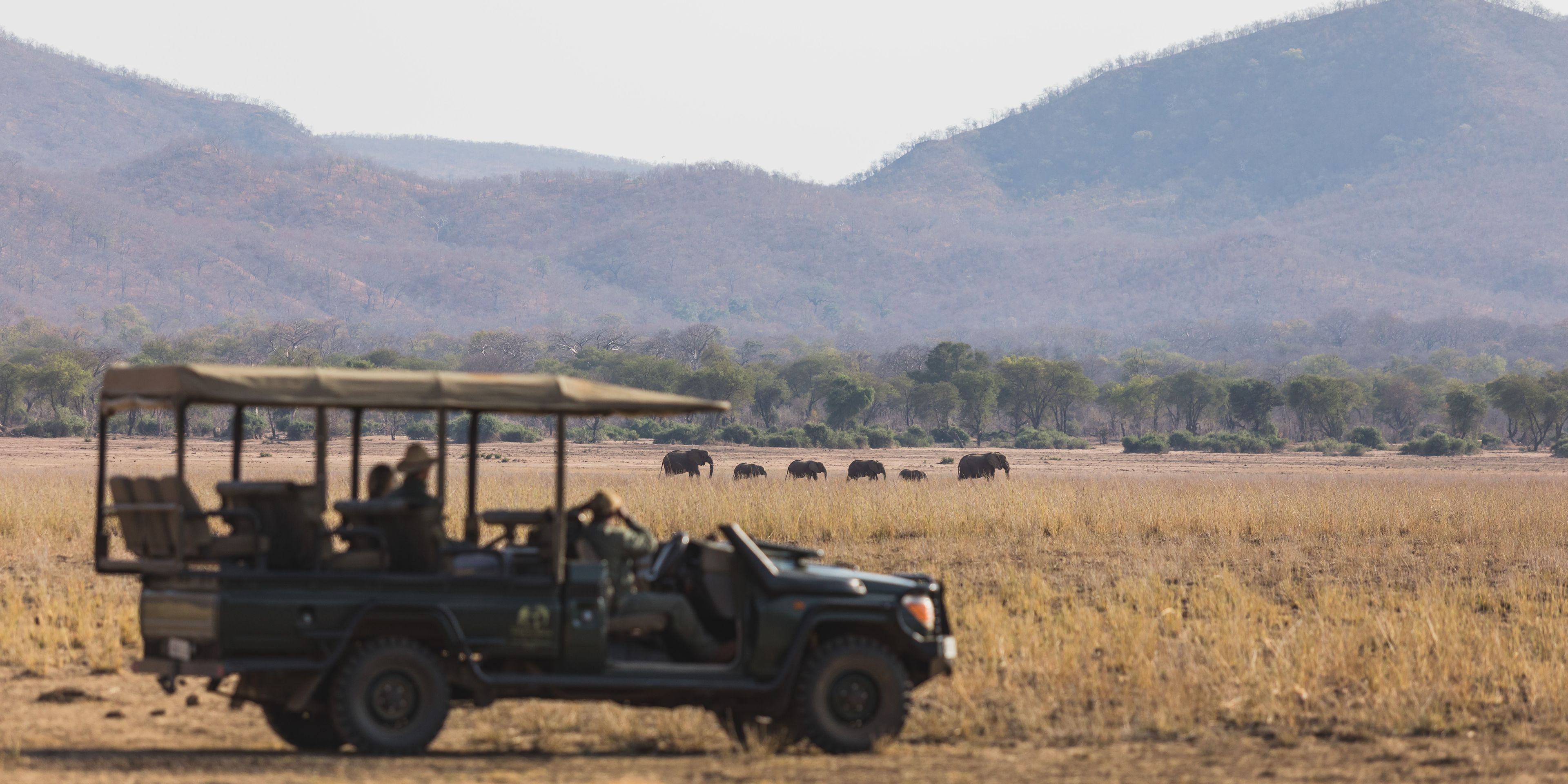 natucate-safari-authentisch-wildnis-sambia-game-drive