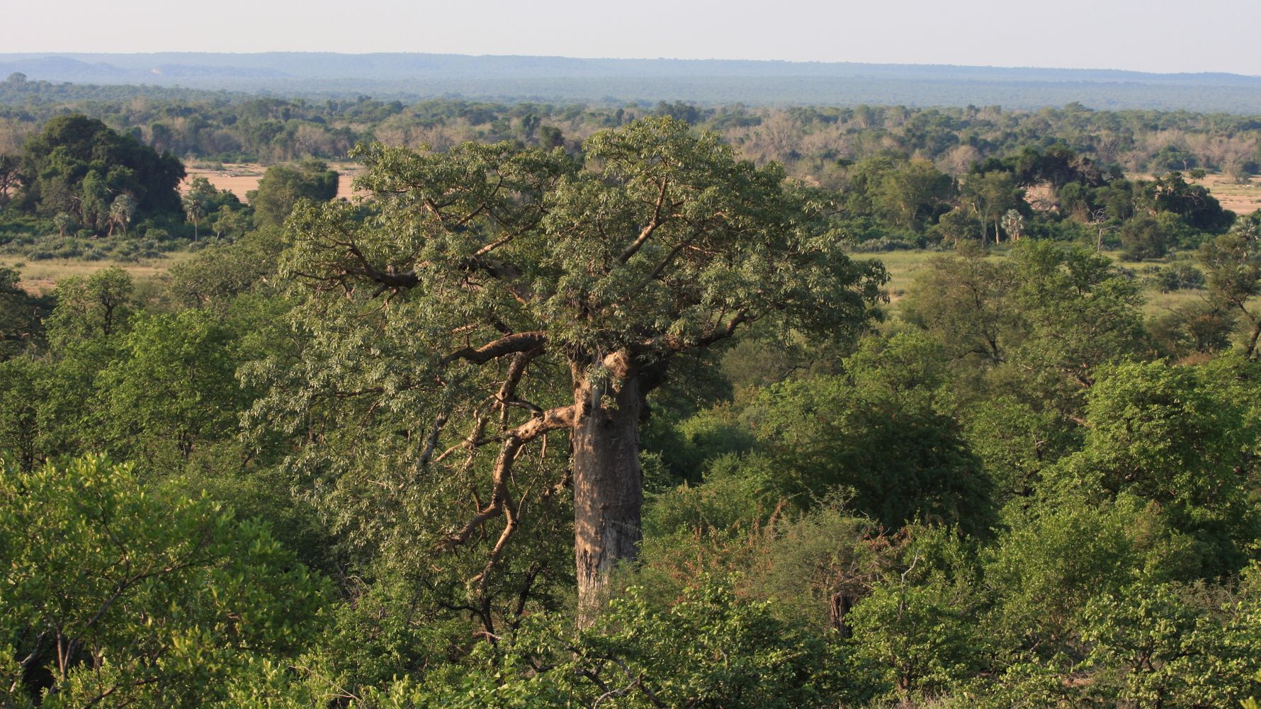 naturreise-suedafrika-erfahrungsbericht-ecoquest-kundenfotos-landschaft-natucate