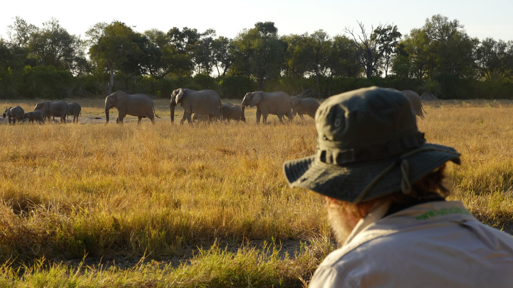 Alan in front of elephants