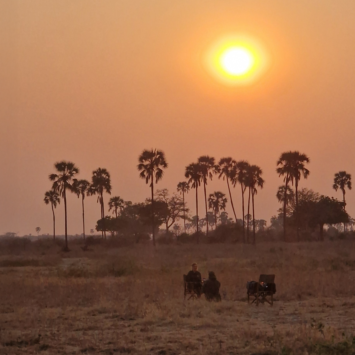natucate-blog-field-visit-ruaha-sunset