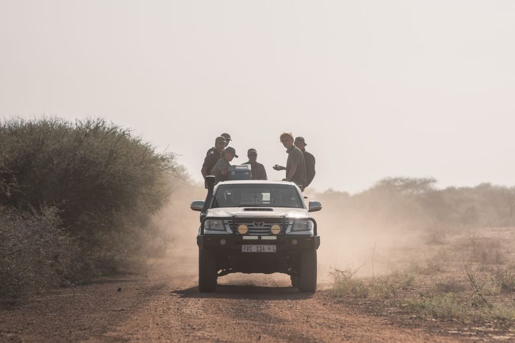 natucate-volunteering-south-africa-marataba-game-drive