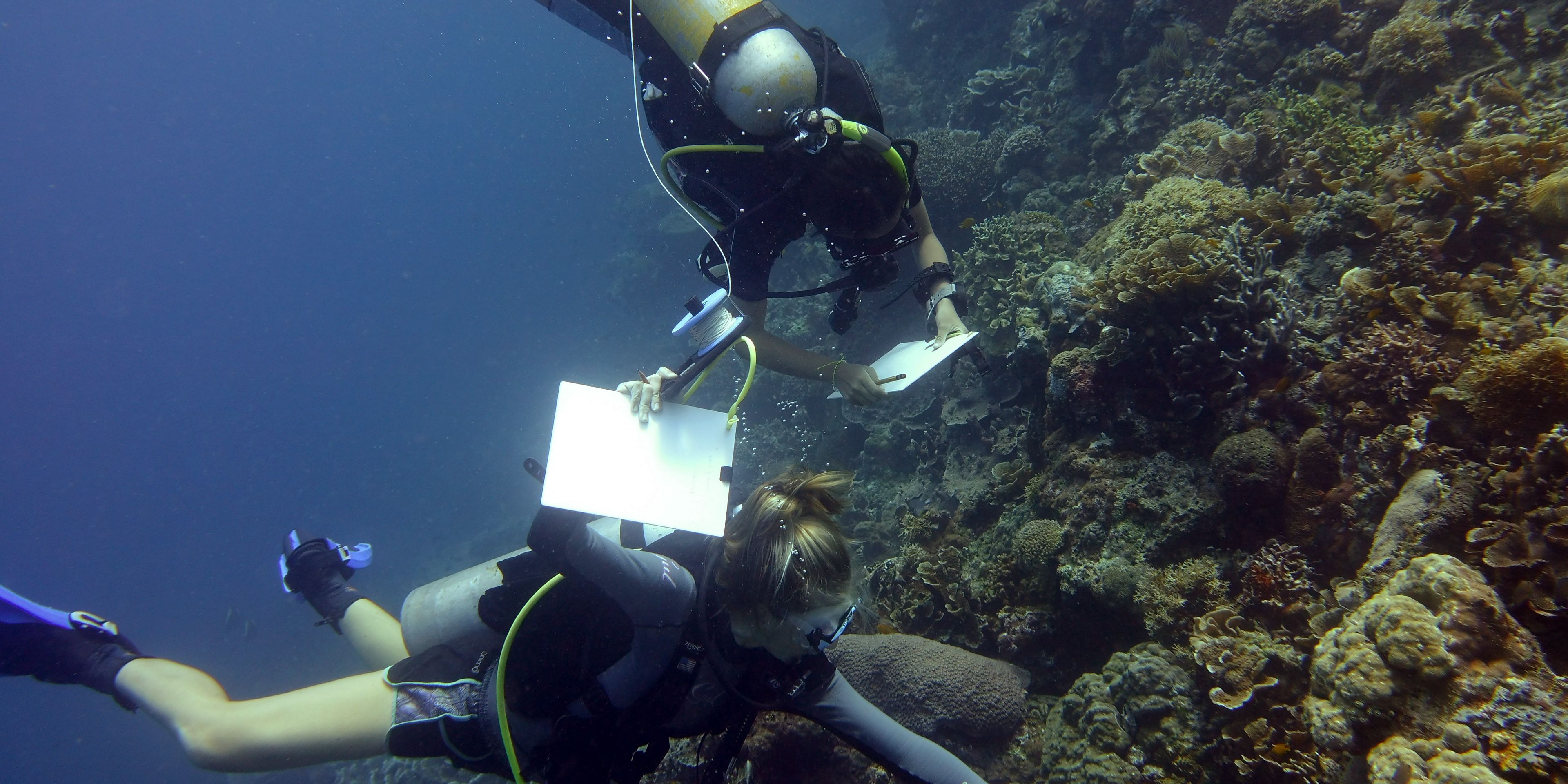 Volunteers in the Philippines are collecting data underwater