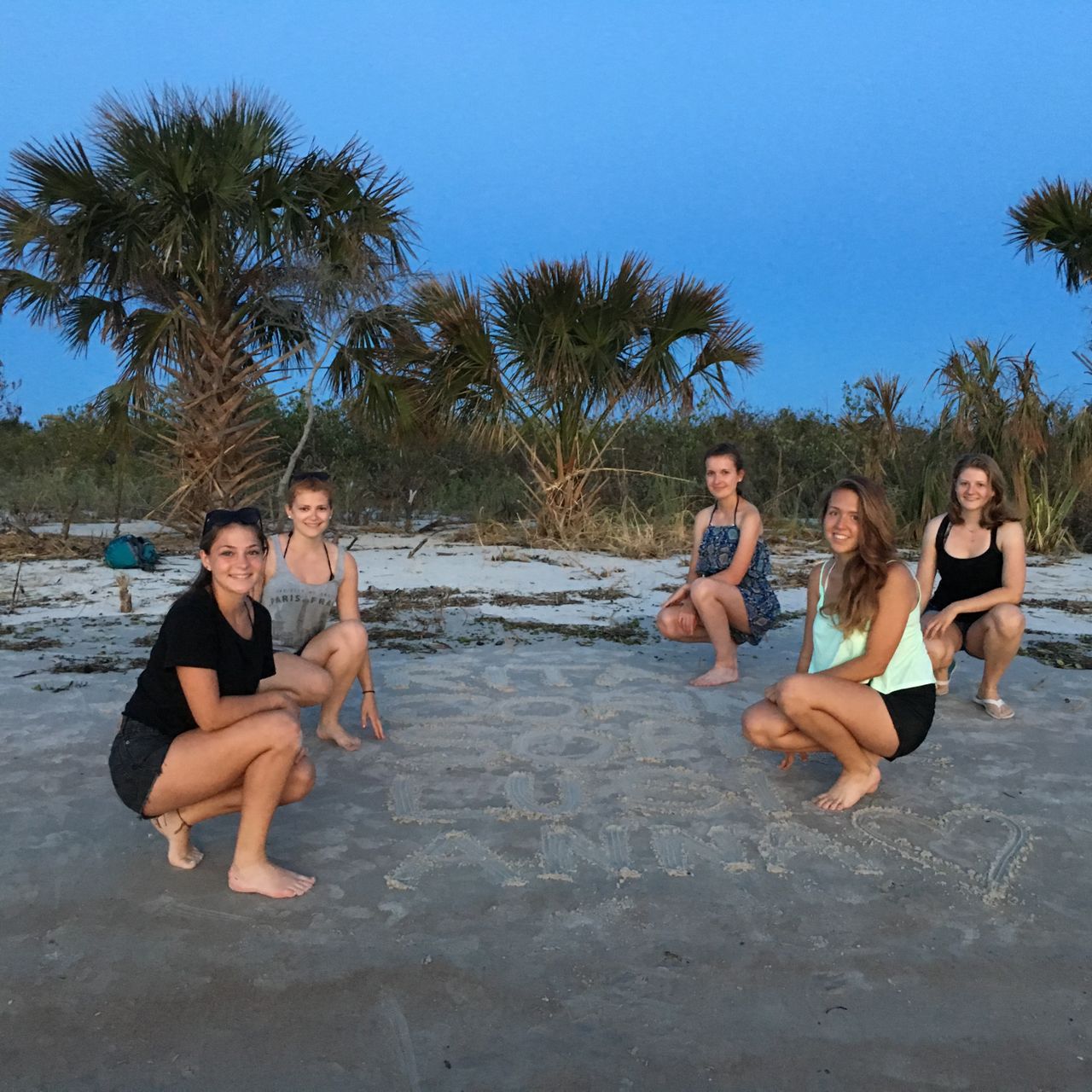 erfahrungsbericht-usa-florida-mustang-tierschutz-natucate