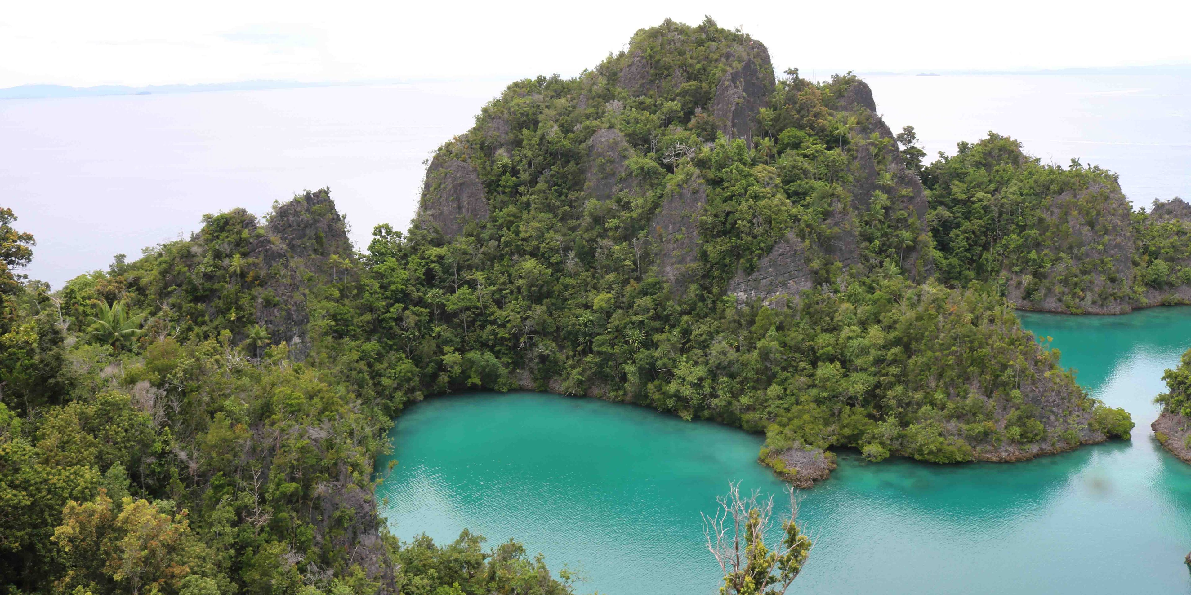 Die Karstlandschaft von Raja Ampat