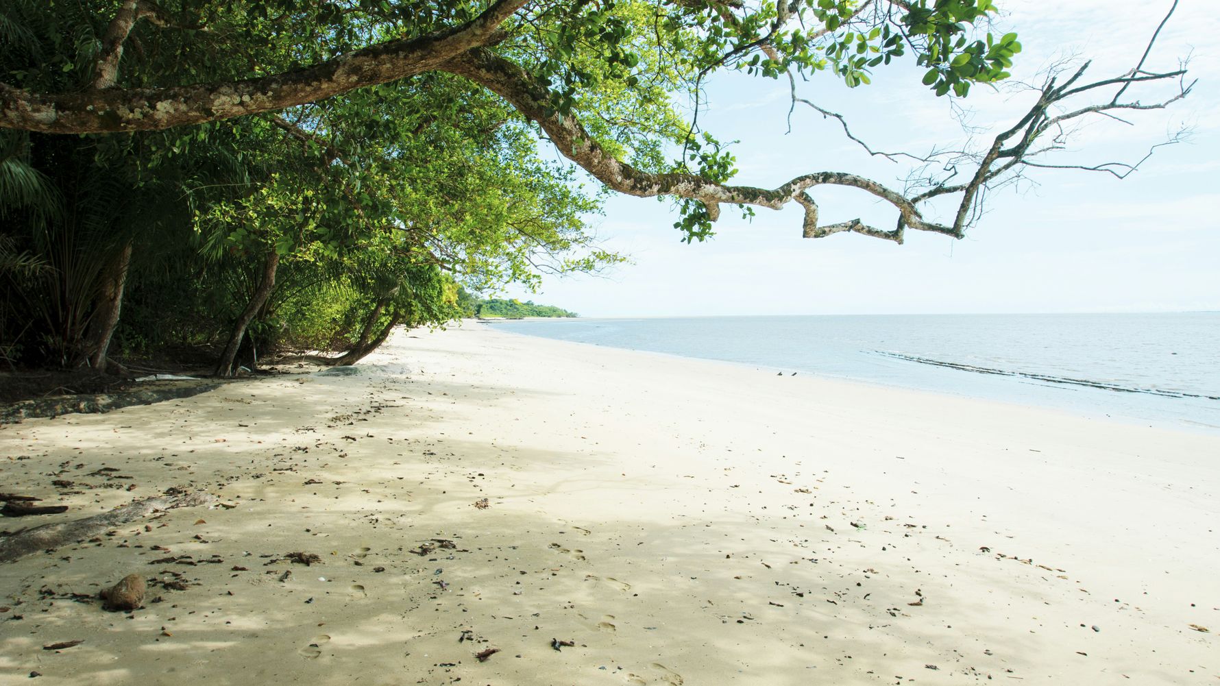 Strand in Gabun