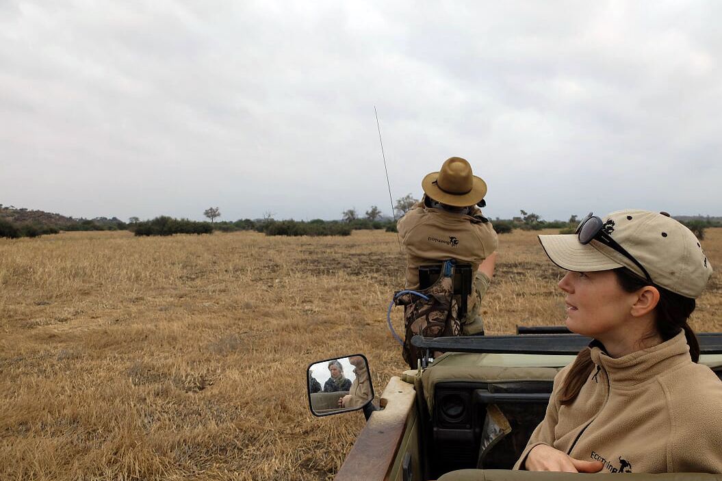 natur-und-rangerkurs-kenia-field-guide-level1-game-drive-natucate