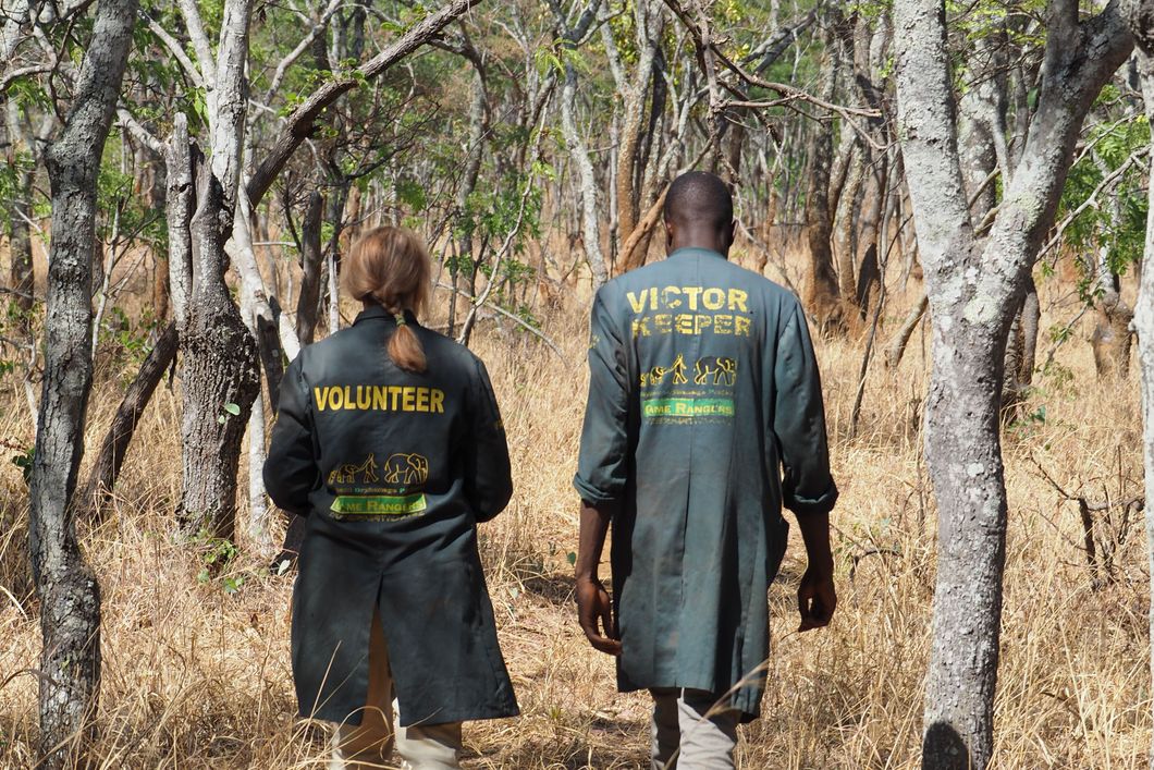 Volunteer mit Tierpfleger aus dem Gelaende des Elefantenschutzprojekts in Sambia