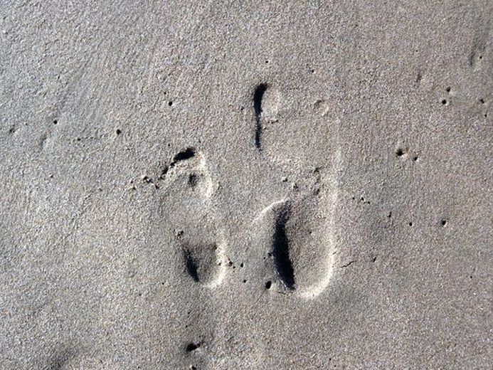 blog-naturwissen-co2-spur-natucate