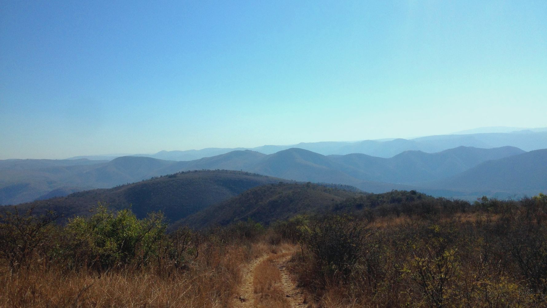 freiwilligenarbeit-suedafrika-erfahrungsbericht-kundenfotos-artenschutz-landschaften-natucate