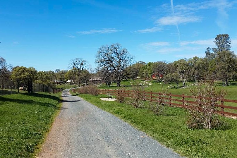 Looking over the grounds of our volunteer project in California, dedicated to protecting former farmed animals