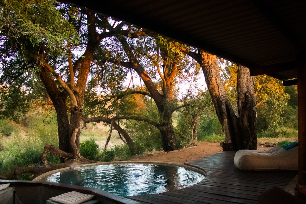 natucate-nature-trip-safari-experience-job-halts-pool