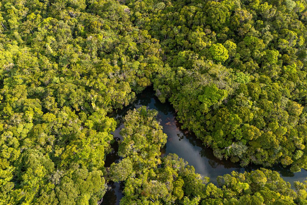 natucate-madagascar-pwe-mody-beach-masoala-river-aerial-rainforest