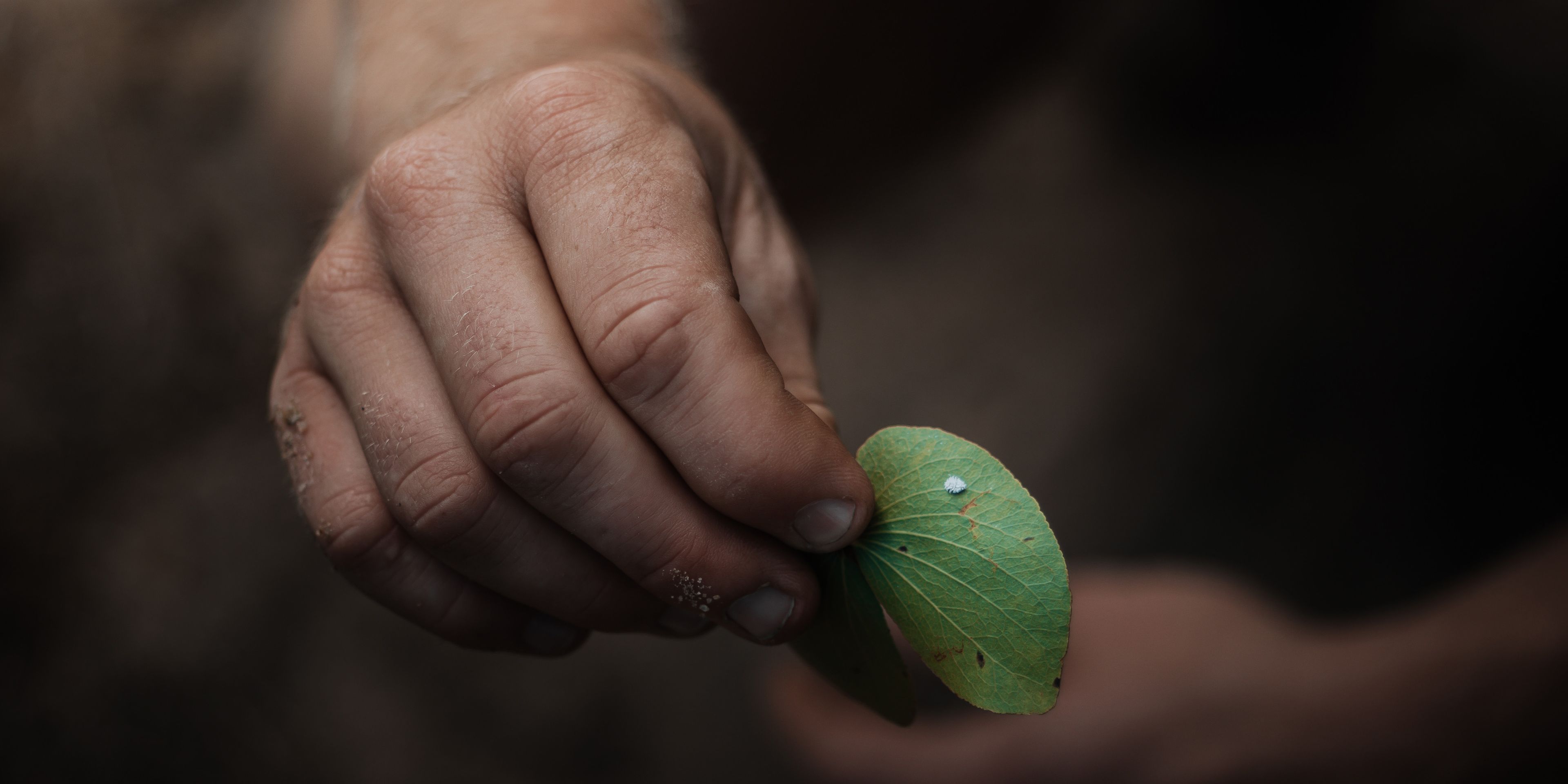 naturkurs-suedafrika-ecostar-offizielle-cybertracking-universal-tracker-zertifizierung-natucate