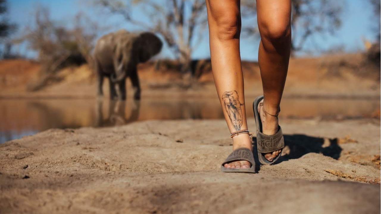 erfahrungsberichte-rangerkurse-field-guide-level-1-julia-elefant