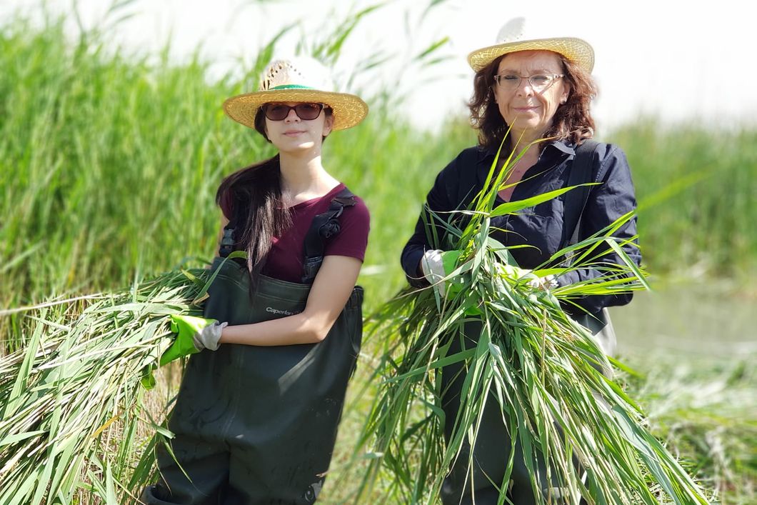freiwilligenarbeit-spanien-valencia-europa-meer-natucate