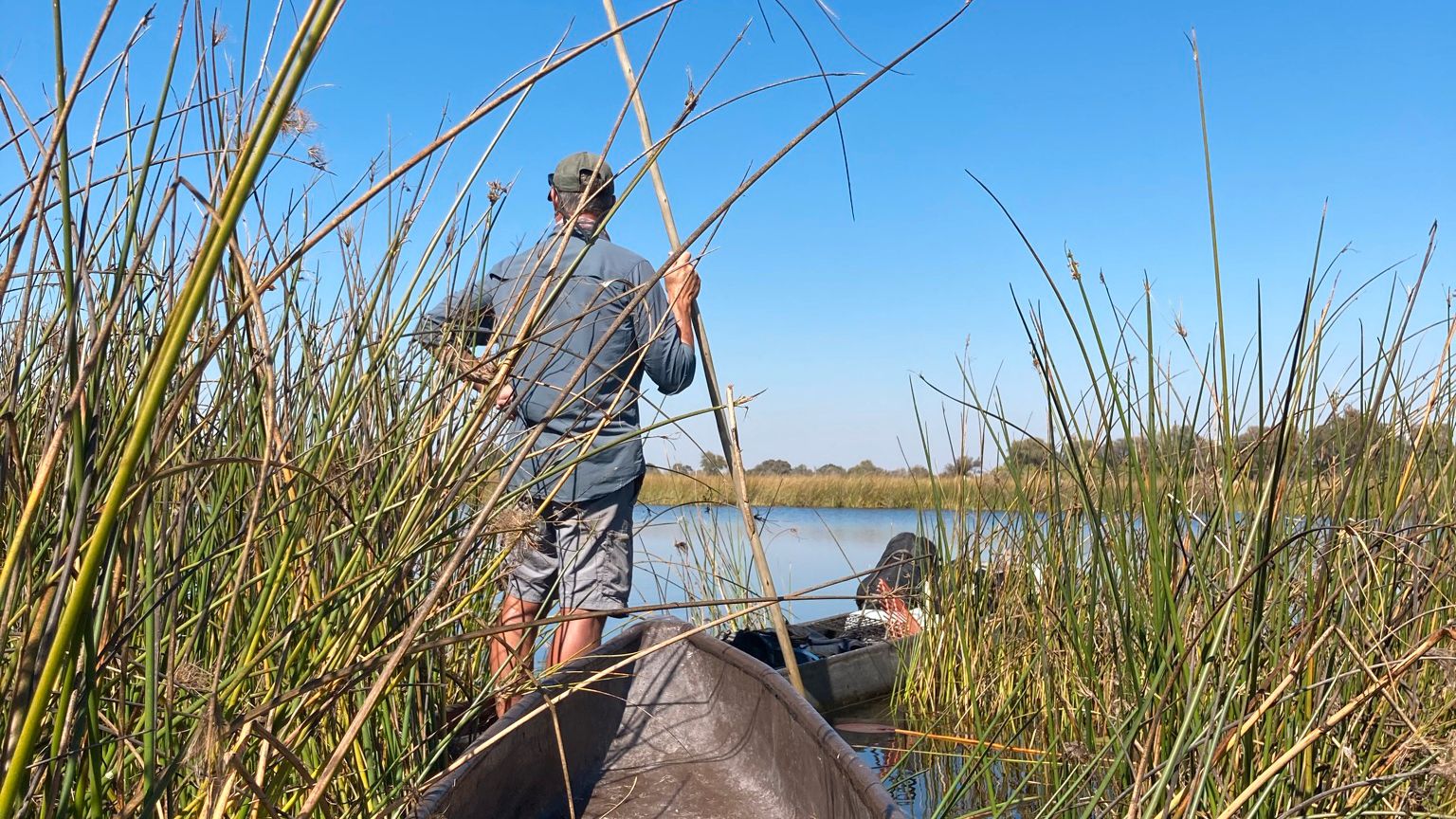 erfahrungsbericht-freiwilligenarbeit-namibia-rangerkurs-botswana-jacqueline-mokoro-natucate