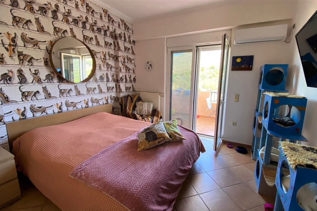 natucate-volunteering-greece-cats-bedroom-double