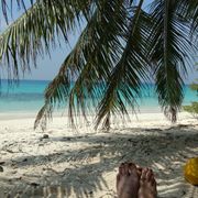 erfahrungsberichte-freiwilligenarbeit-malediven-walhaischutz-martina-palme-fuesse-natucate