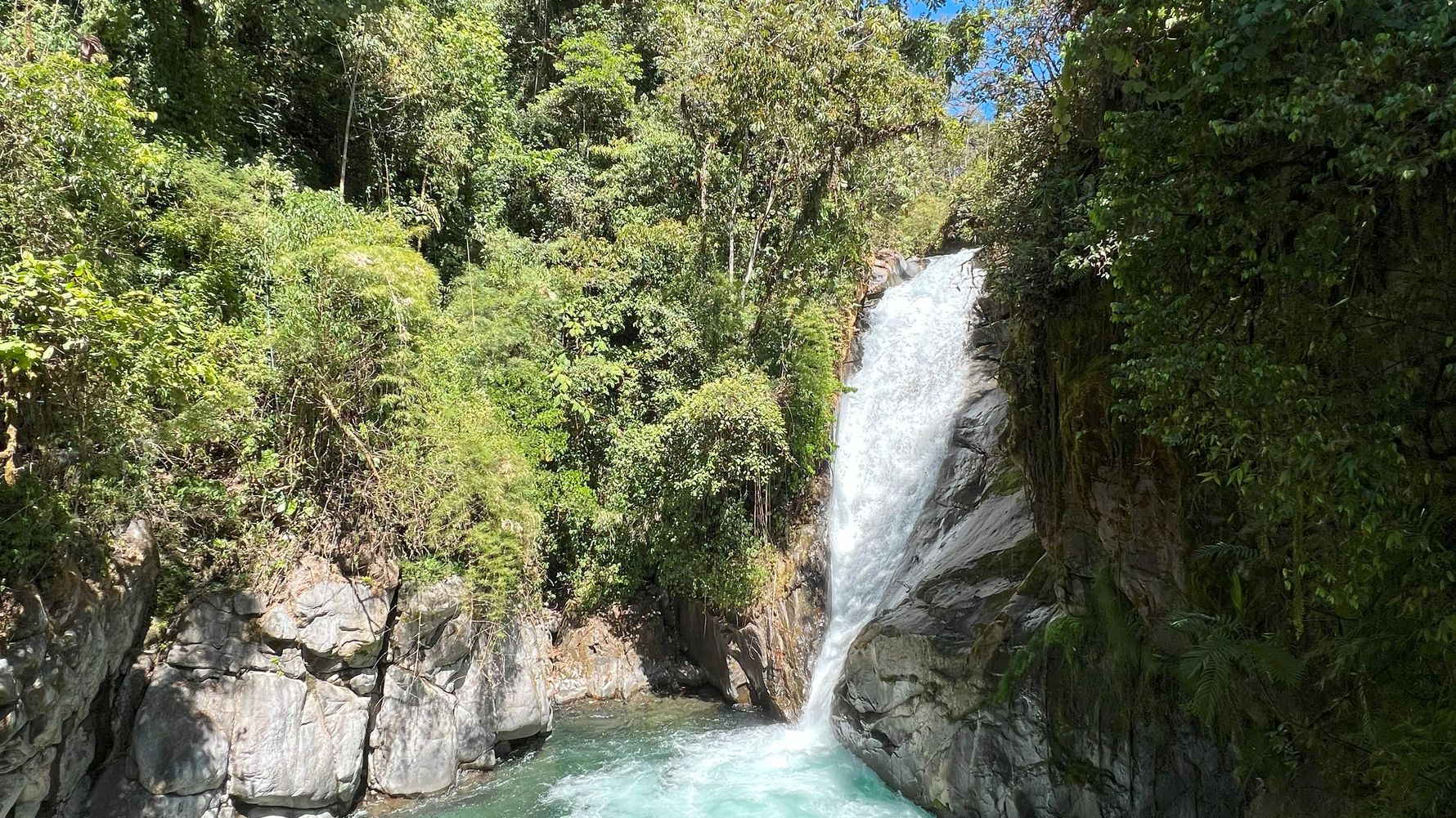 erfahrungbericht-jarne-freiwilligenarbeit-costa-rica-waldschutz-9