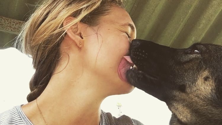 Volunteering in Thailand: Eine Freiwillige spielt mit einem Hund