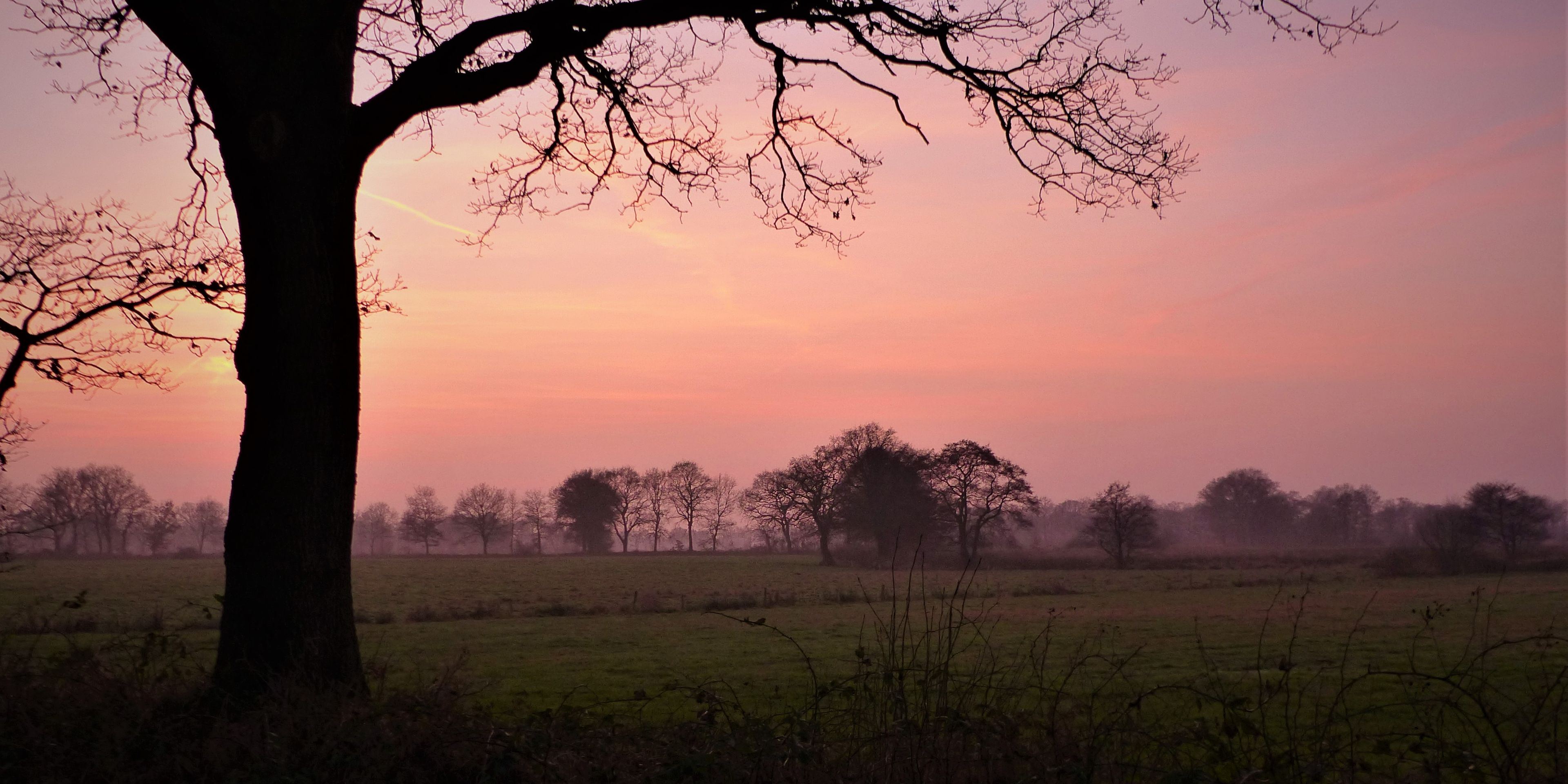 naturreise-deutschland-ostfriesland-ecotour-landschaft-natucate