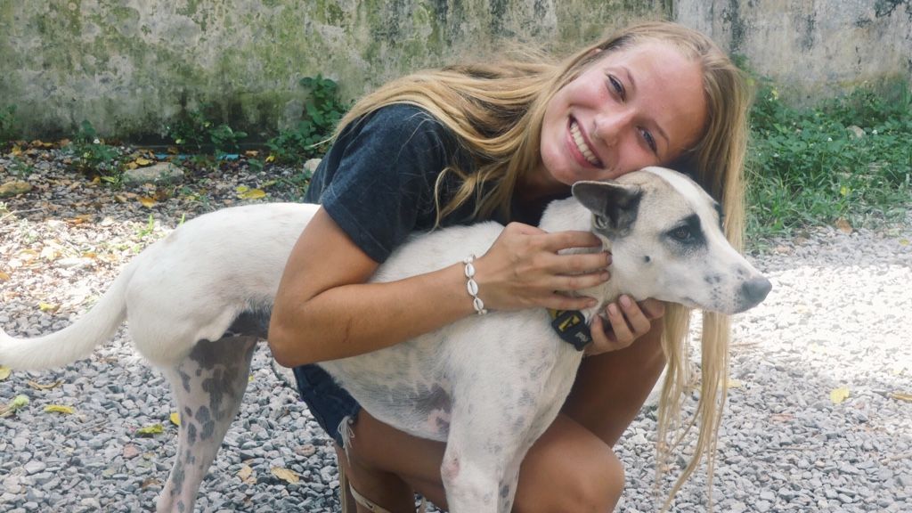 erfahrungsberichte-freiwilligenarbeit-thailand-ko-lanta-tierschutz-andrea-hund-natucate