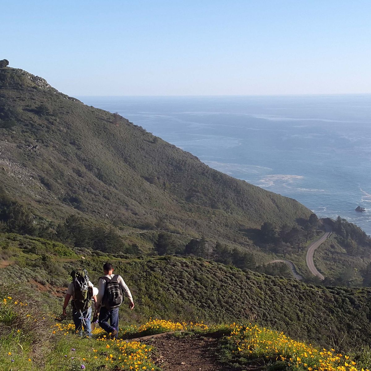 blog-ratgeber-haeufig-gestellte-fragen-freiwilligenarbeit-usa-kalifornien-natucate