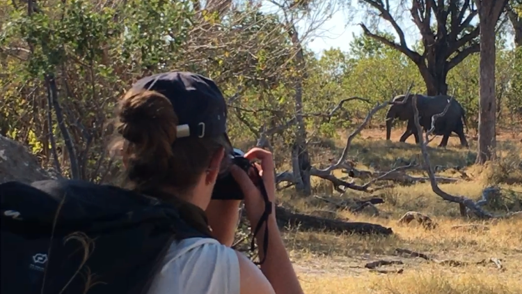 erfahrungsbericht-freiwilligenarbeit-namibia-rangerkurs-botswana-jacqueline-elefant-fotografie-natucate