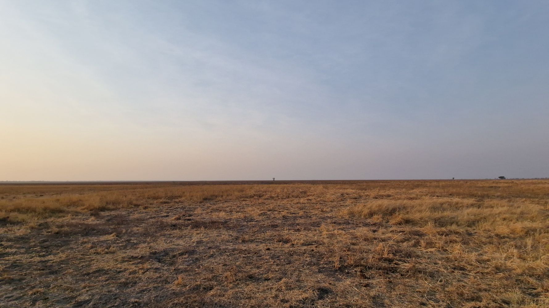 Savannah in Ruaha National Park