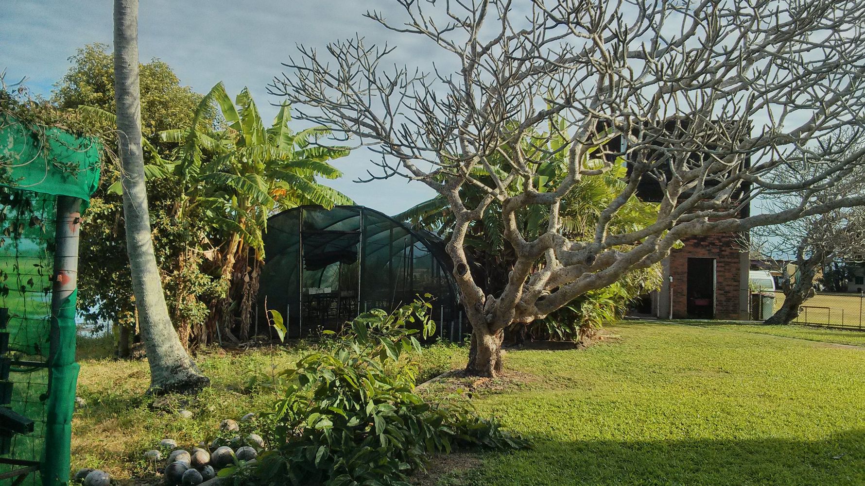 erfahrungsberichte-sabbatical-neuseeland-naturschutz-ulrich-baumschule-natucate