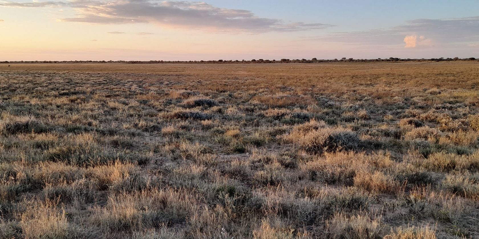 naturreise-suedafrika-kalahari-primitive-trails-outdoor-natucate