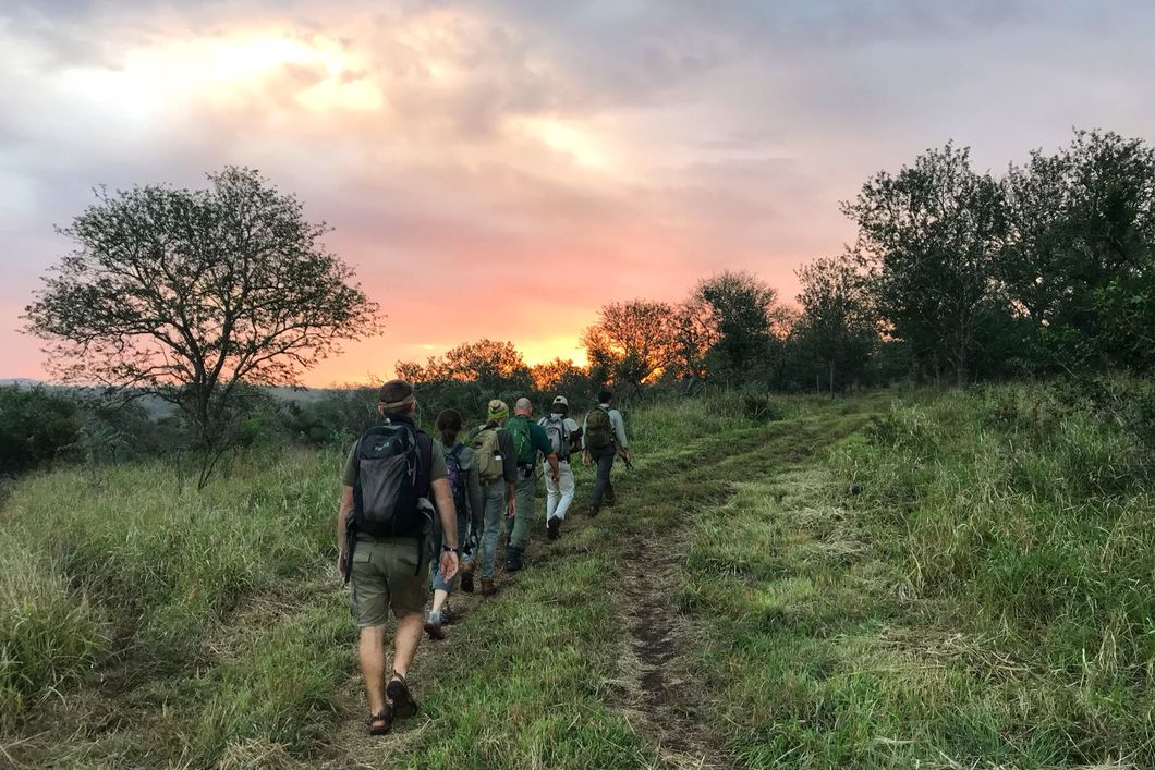 Course students of the game ranger short course on a game walk in Southern Africa
