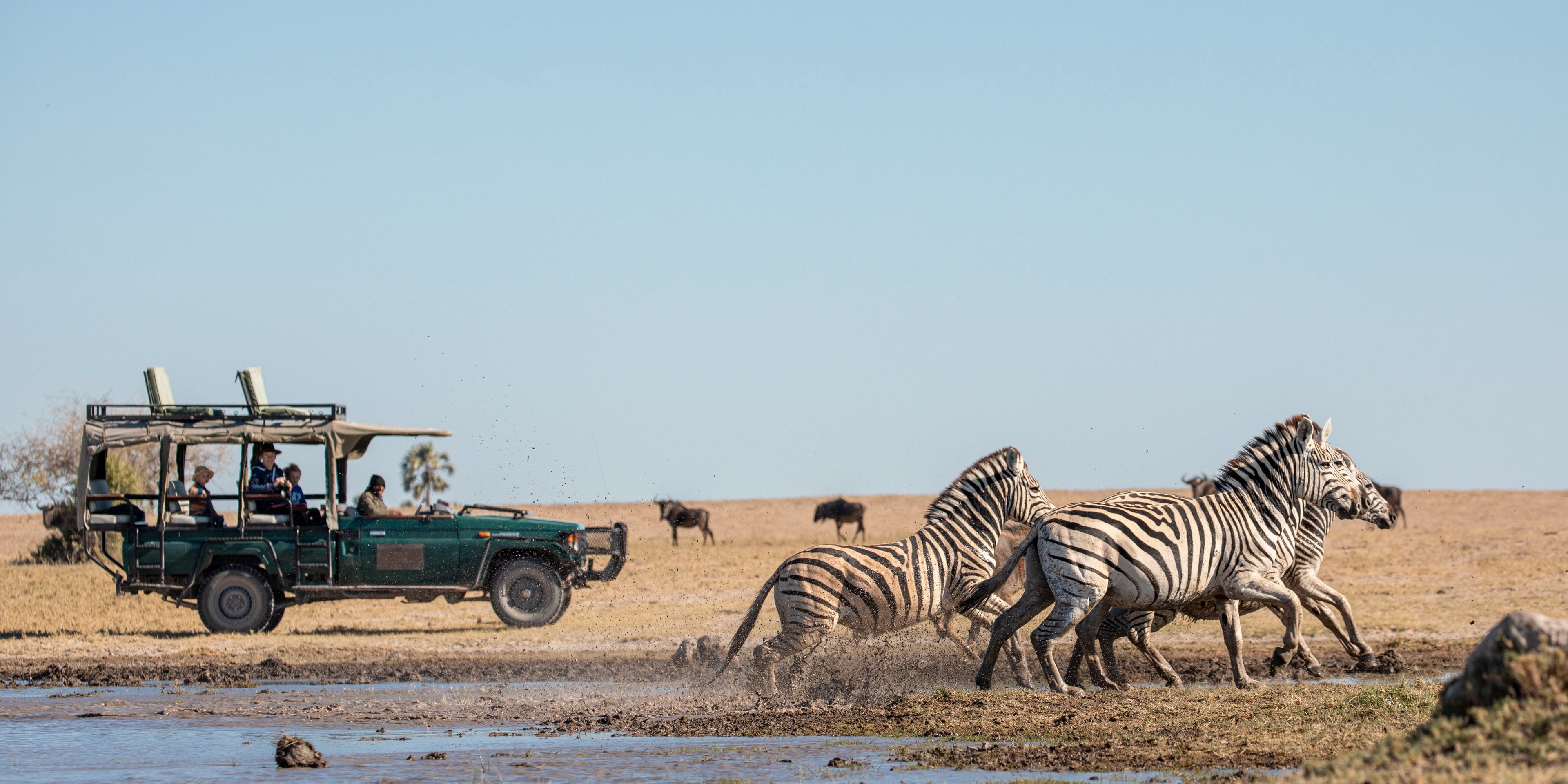 natucate-safari-botswana-abenteuer-camp-kahalari-game-drive