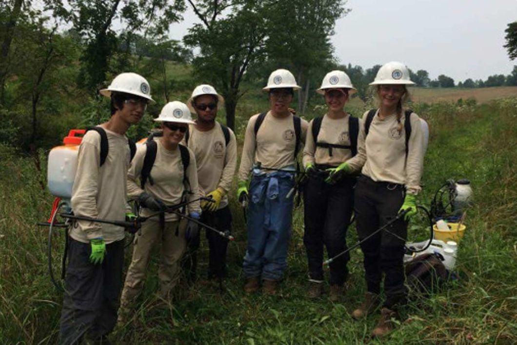 A group of conservation volunteers at work in North Carolina