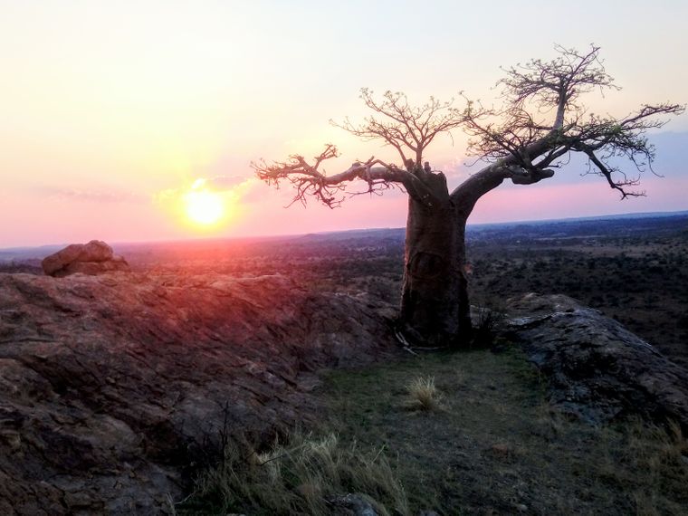 erfahrungsberichte-suedliches-afrika-pfg-rangerausbildung-kundenfotos-landschaft-natucate