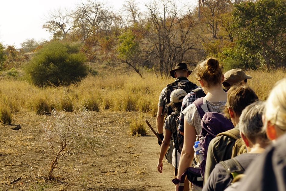 natur-und-rangerkurs-kenia-field-guide-level1-game-walk-natucate